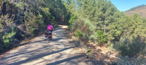 Etapa 3. Pinofranqueado - Vegas de Coria Etapa 3. Pinofranqueado - Vegas de Coria