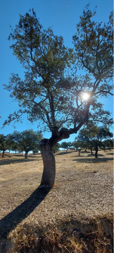 20210919 105941 20210919 105941