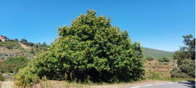 20210921 142118 20210921 142118