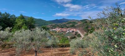 20210922 115545 20210922 115545