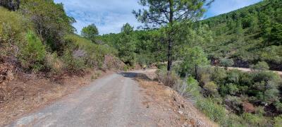 20210922 124849 20210922 124849