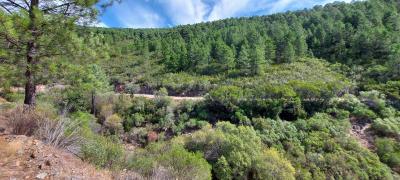 20210922 124920 20210922 124920