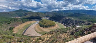 20210922 142319 20210922 142319