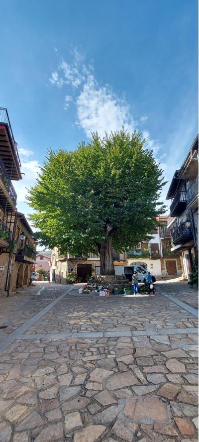 20210923 114314 20210923 114314