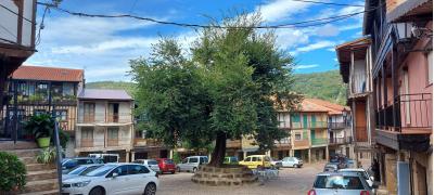 20210923 131103 20210923 131103