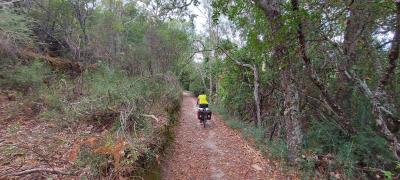 20210923 145615 20210923 145615