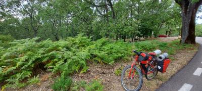 20210923 161855 20210923 161855