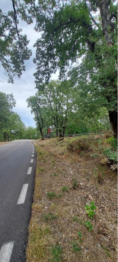 20210923 161950 20210923 161950